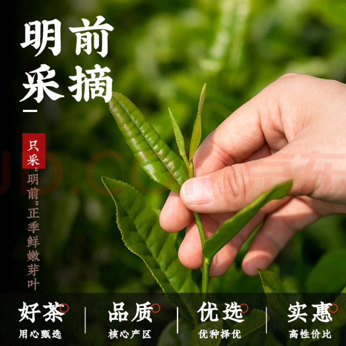 第一江南绿茶