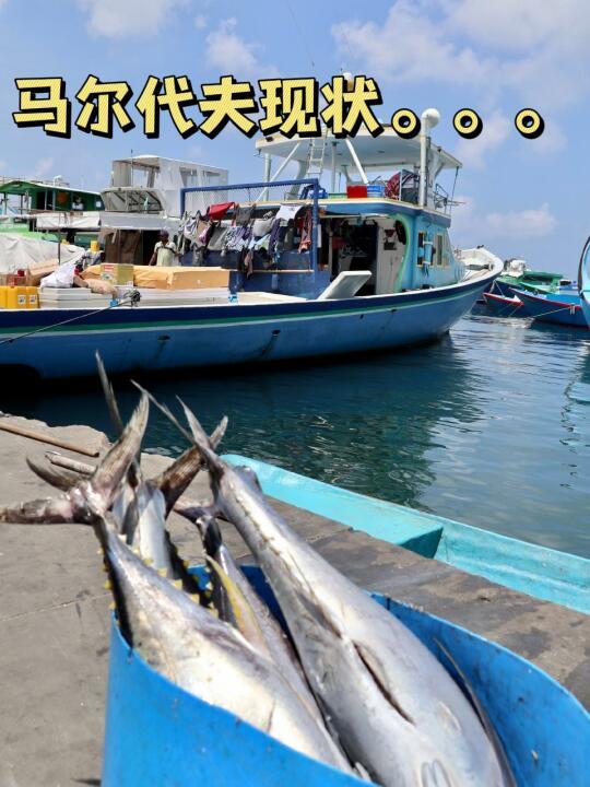 4.15📍马尔代夫现状，能劝一个是一个😭