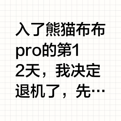 使用熊猫布布的第12天，我决定退了