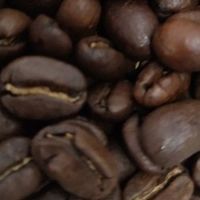 咖啡界的“宝藏男孩”：苏帕摩Arabica的奇幻之旅