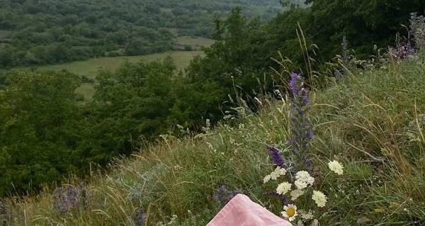 保暖防护必备：冬季新款女士雪地靴