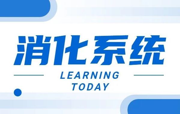 【中西医内科】消化系统考频考点30条