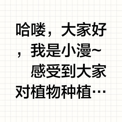 【植物医生】上线！拆解金钱树落叶光杆急救