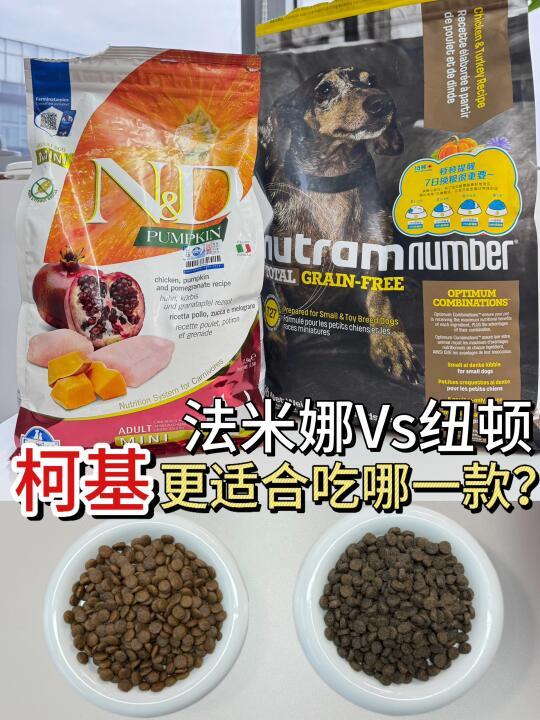 纽顿vs 法米娜，柯基更适合吃哪一款？