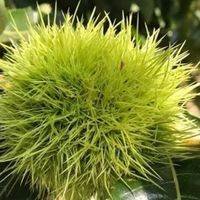 如何高效利用移动存储设备进行文件分类与备份的方法