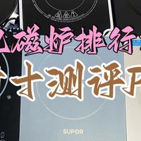 电磁炉哪个牌子好？十大排行榜家用款对比分析