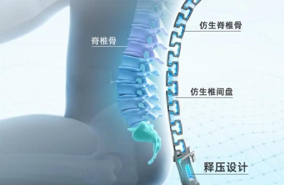 《久坐腰疼有救了！揭秘人体工学椅的3大科学护腰法则》