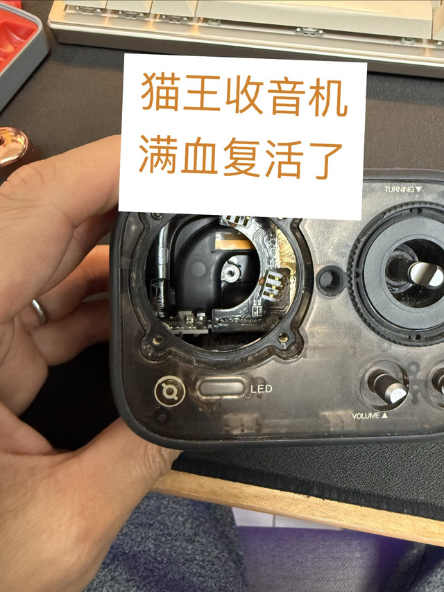 2017年的猫王花了35竟然就搞定了