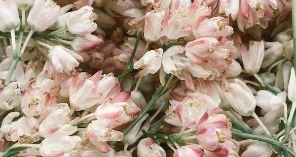 2024 年消毒柜品牌推荐：康宝 Canbo 三层二星不锈钢嵌入式消毒柜，优势尽显的厨房健康卫士！