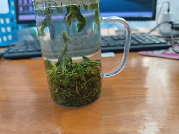 开启今年的试茶之旅，试试恩施玉露