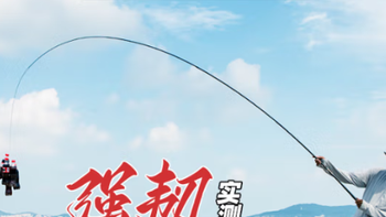 神鲨湖库王 4.5 米鱼竿：轻硬兼备，钓界利器