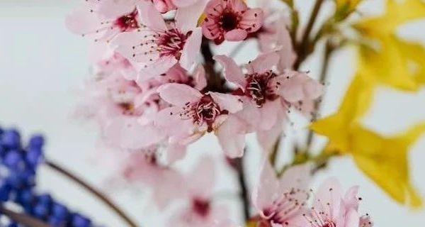 春秋冬婴幼服饰指南：解析哈衣与爬服的多场景适用性