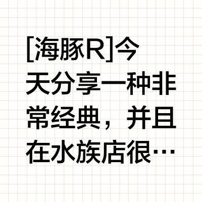 性价比和颜值都很高的灯科鱼——红绿灯鱼