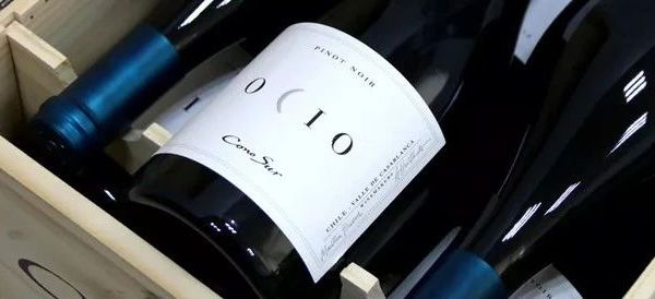 【3升装仅1瓶】智利18罗汉：柯诺苏逸品黑皮诺旗舰干红（2019年）