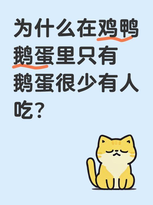 为什么在鸡鸭鹅蛋里只有鹅蛋很少有人吃？
在我们平时吃的蛋类里，其中鸡蛋最常见，也是卖得最多的，鸭蛋次之。其他鸟类的蛋也有（如鸽子蛋和鹌鹑蛋）。鹅蛋是鸡鸭鹅的蛋里面体积最大的，所含的蛋白质和营养成份并不