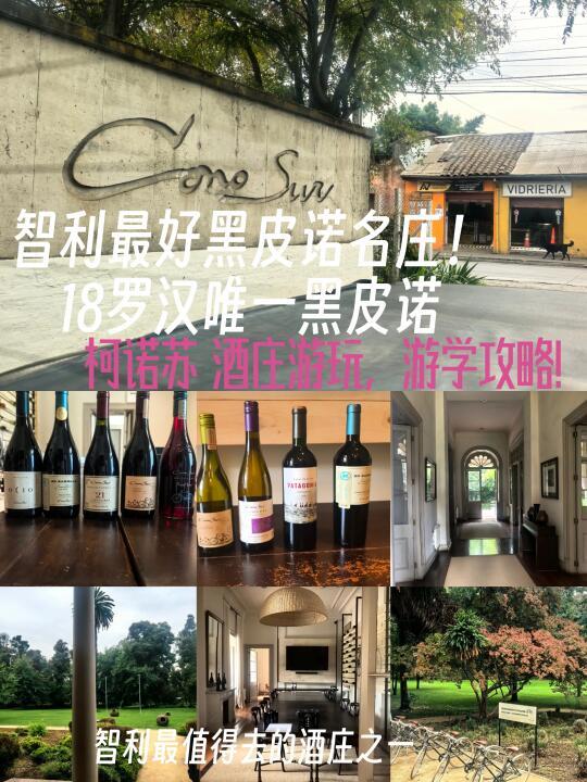 智利黑皮诺名庄_柯诺苏最全游玩攻略！