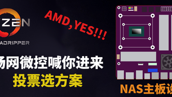 畅网微控 AMD 5825U 万兆12盘位NAS开搞~！ 