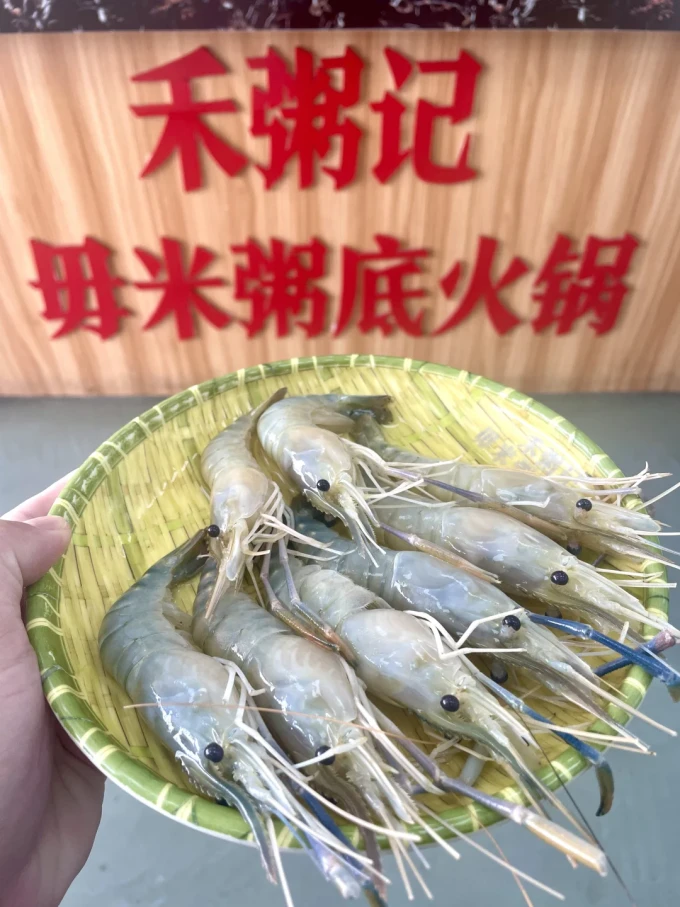 渔游记贝类