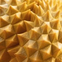 京东发布满分榴莲标准是否靠谱？还得看消费者的反馈。