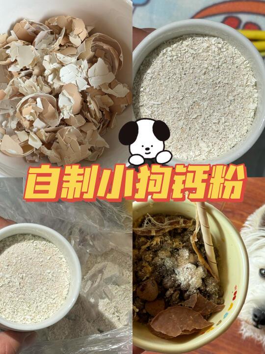 天然无添加的小狗补钙神器！低成本放大心！