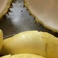 京东榴莲的品质把控标准成为了把控榴莲好品质的关键