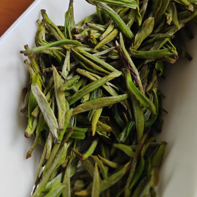 全国种植面积第一是白叶一号茶树；说说安吉白茶