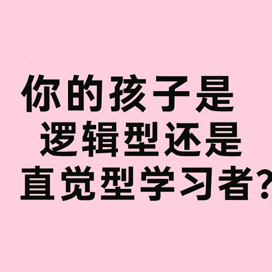语言学习偏好类型判断