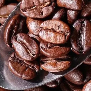 桂都农科院咖啡豆：让云南小粒的芬芳，晕染咖啡时光