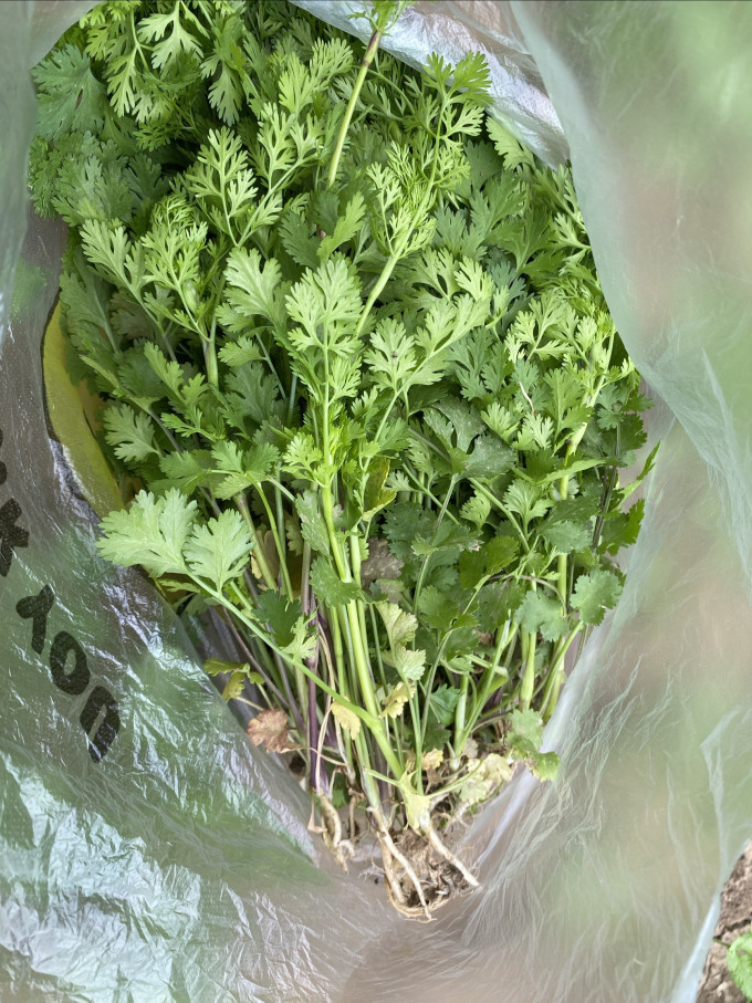 寿禾鲜花速递