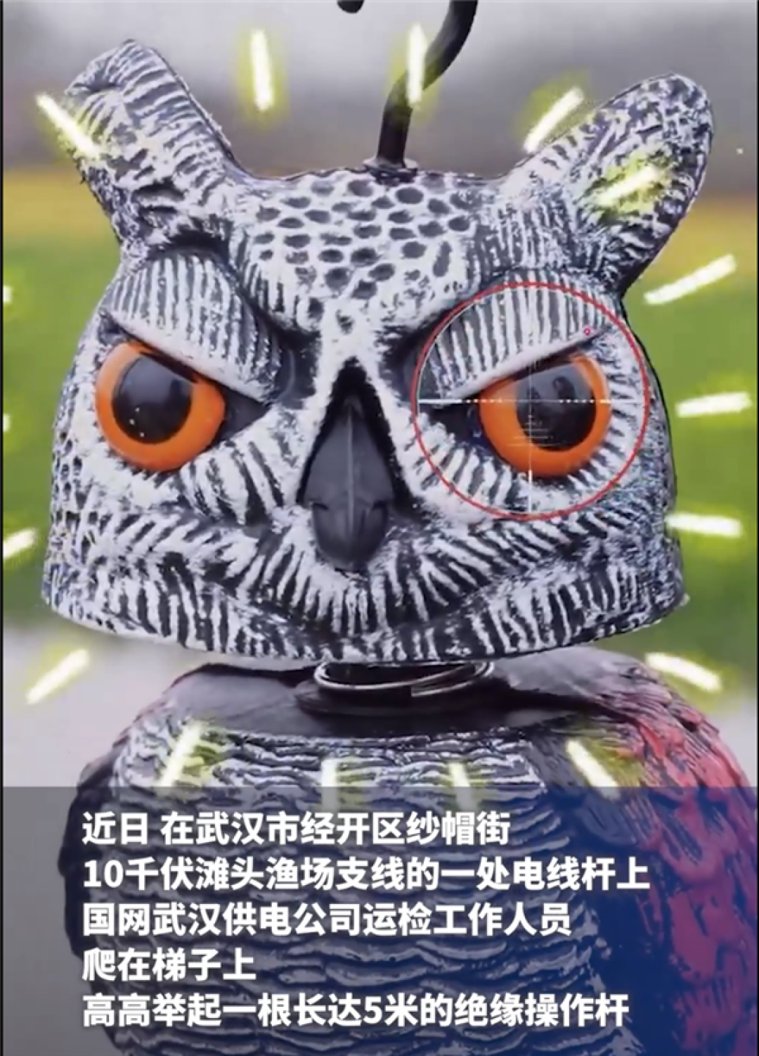 太聪明啦!一供电公司启用新型“猫头鹰”警长守护电网