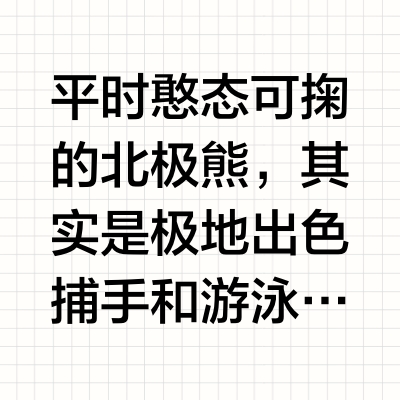 国际北极熊日|加入保护大白熊的行列