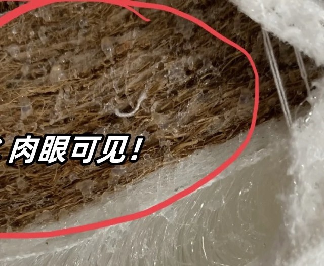 上黑榜了！没想到这6种“家居用品”危害这么大，很多人还在用