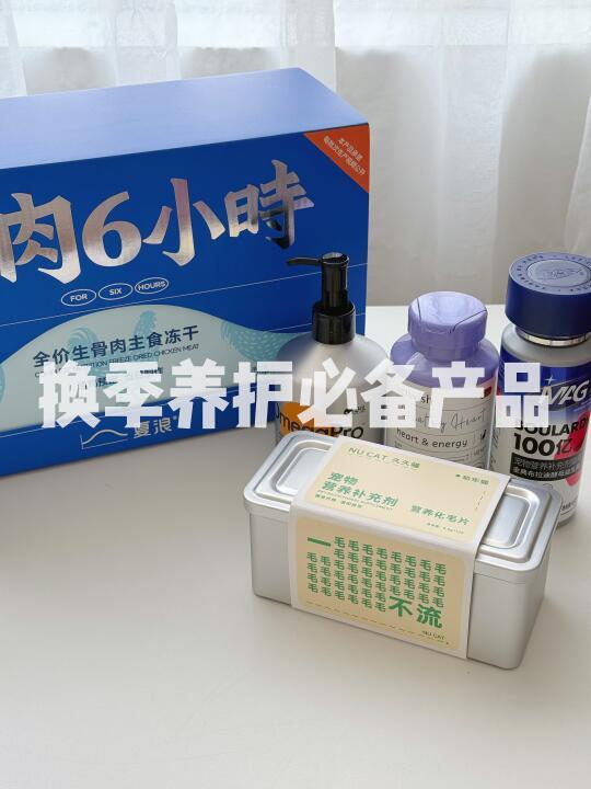 新手养猫必看｜换季喂养攻略📝