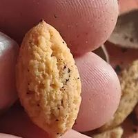 香榧子新货来袭，枫桥特产开启坚果美味之旅