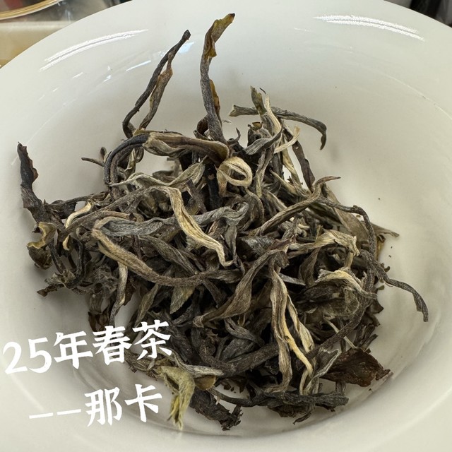 版纳勐海那卡25年春茶，一口鲜