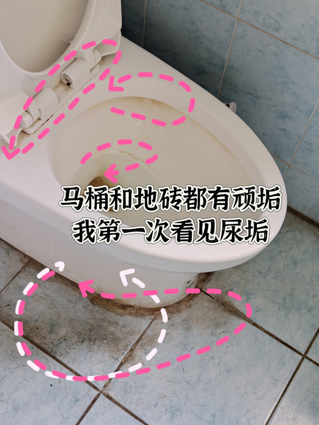 我第一次见到马桶上的尿垢，还有瓷砖上的陈年污垢……