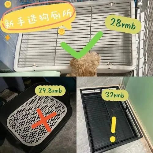 装修狗狗厕所指南打造宠物友好型卫生间，让狗狗享受舒适生活