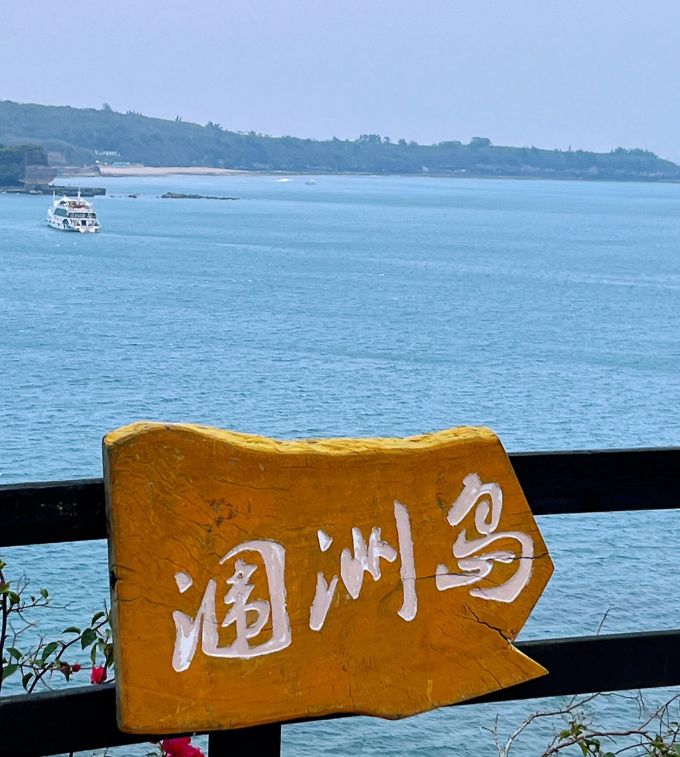 竹燕青蛋类