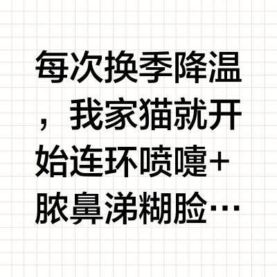 真实血泪！猫鼻支自救攻略保命版！！