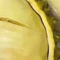 智宙 泰國(guó)進(jìn)口金枕頭榴蓮鮮果 巴掌榴蓮 新鮮生鮮水果整顆帶殼