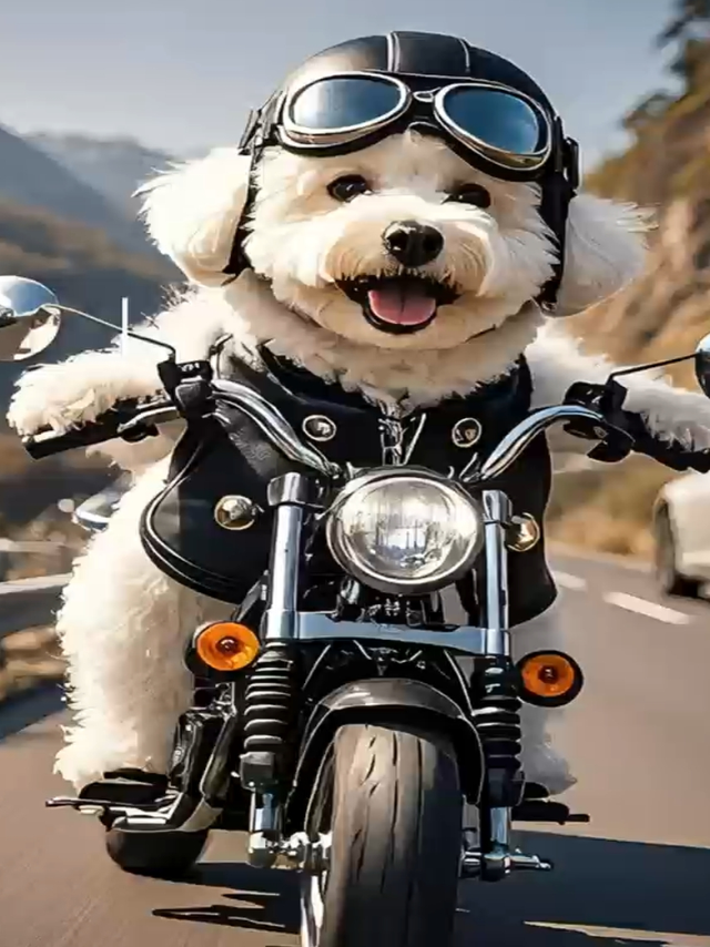 宝子们！挖到宝了！