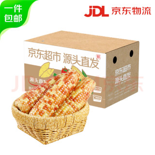 云南金银玉米新鲜度评测