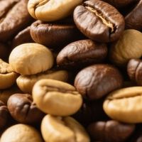 咖啡豆的风味与产地