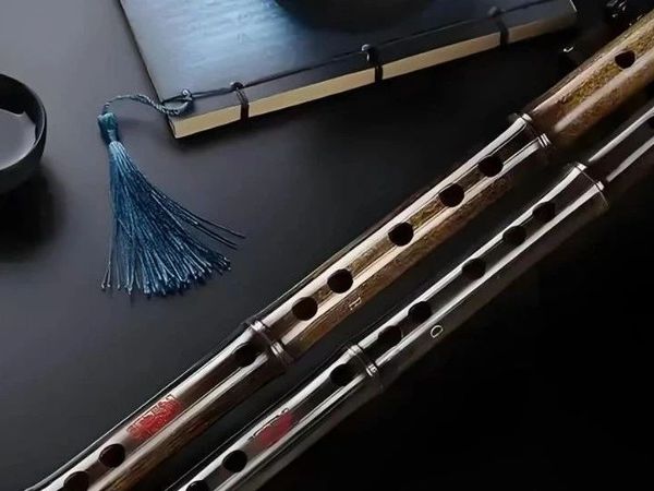 民族管弦乐器系列（15）笛——空中艺术课堂（第525课）