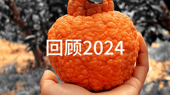 回顾2024 