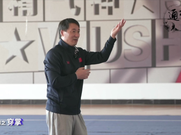 刘老师通背拳击技课之穿掌