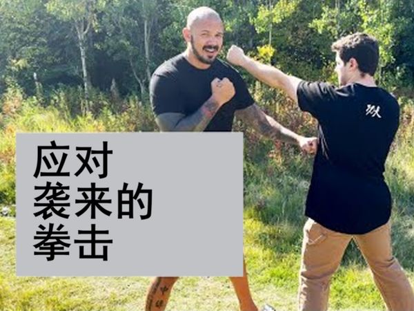 【KevinGoat自卫术】简单的防身术 如何应对向你袭来的拳击？！