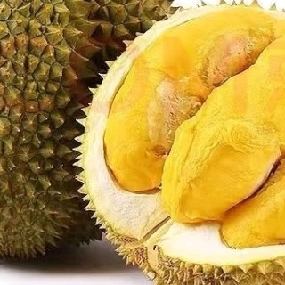 如何选购松筱金枕榴莲？掌握这几点，避免踩坑!