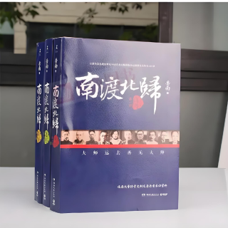 《南渡北归》：历史变迁的见证者？（墙推）