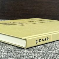 大明王朝的落日余晖：万历三大征的荣耀与隐忧